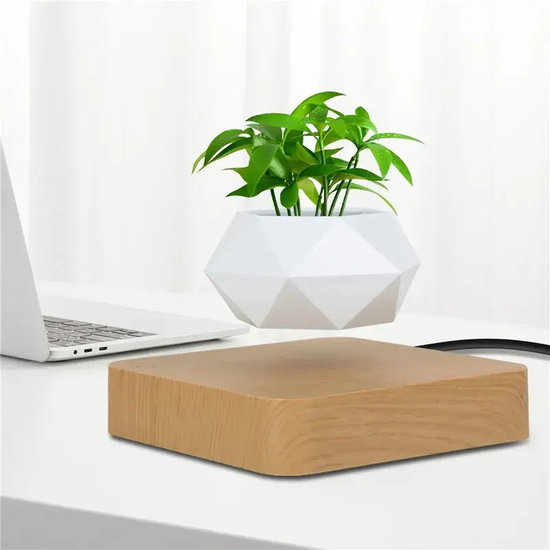 Potted Plant Home Desk Decor.