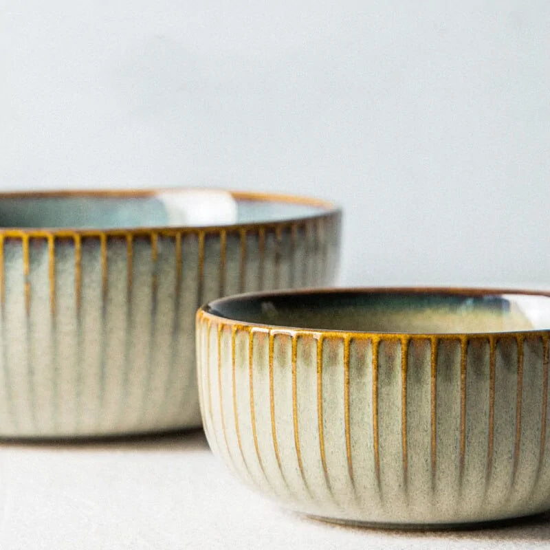 Elegant Japanese plates for dining table
