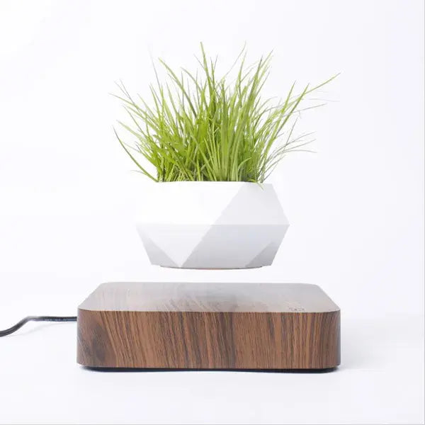 Potted Plant Home Desk Decor.