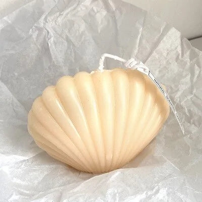 shell candle home decoration