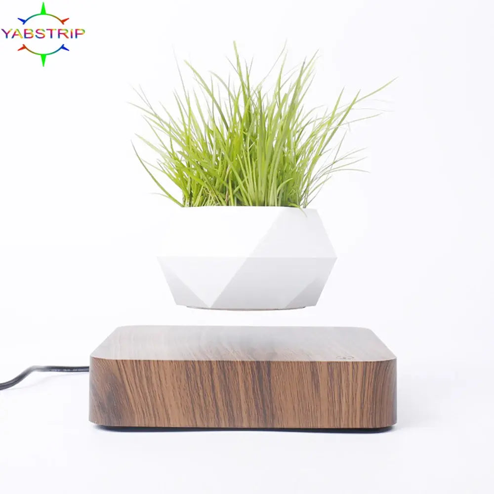 Potted Plant Home Desk Decor.