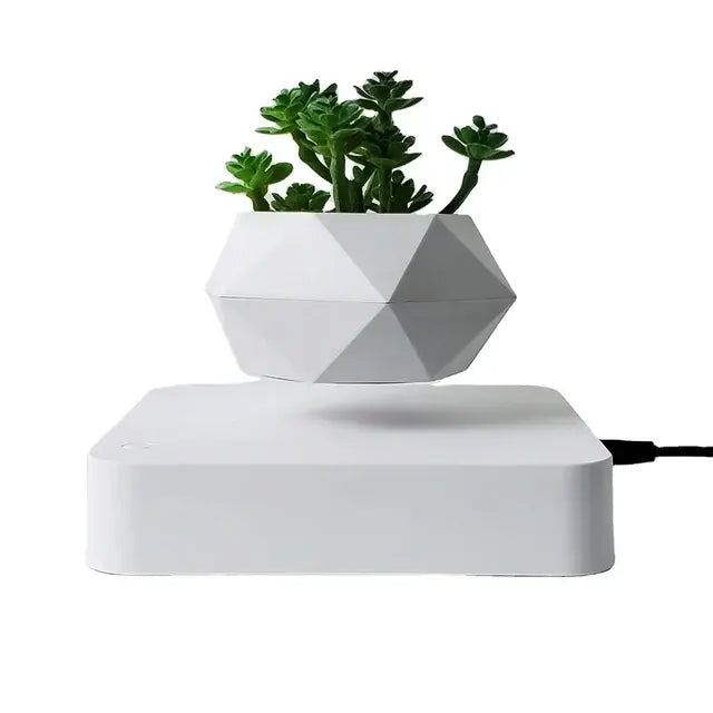Potted Plant Home Desk Decor.