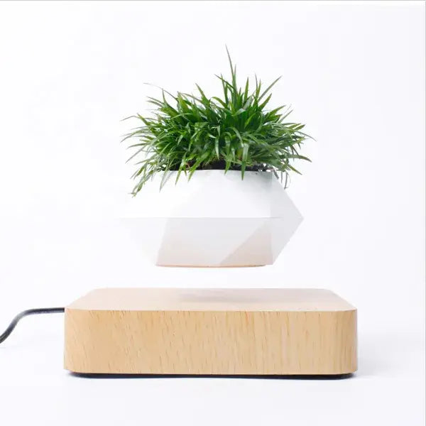 Potted Plant Home Desk Decor.