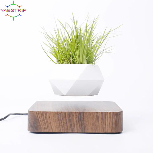 Potted Plant Home Desk Decor.