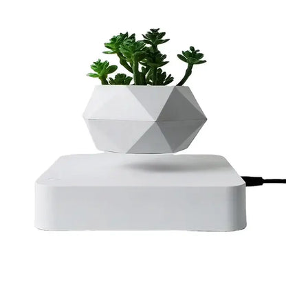 Potted Plant Home Desk Decor.