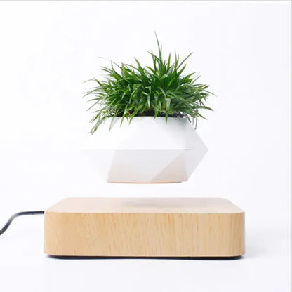 Potted Plant Home Desk Decor.